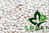 Smart Agro Invest LLC _ Kidney Beans Mavka from Ukraine